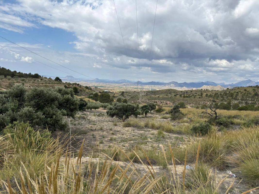 Land for sale in Busot, Alicante photo 3