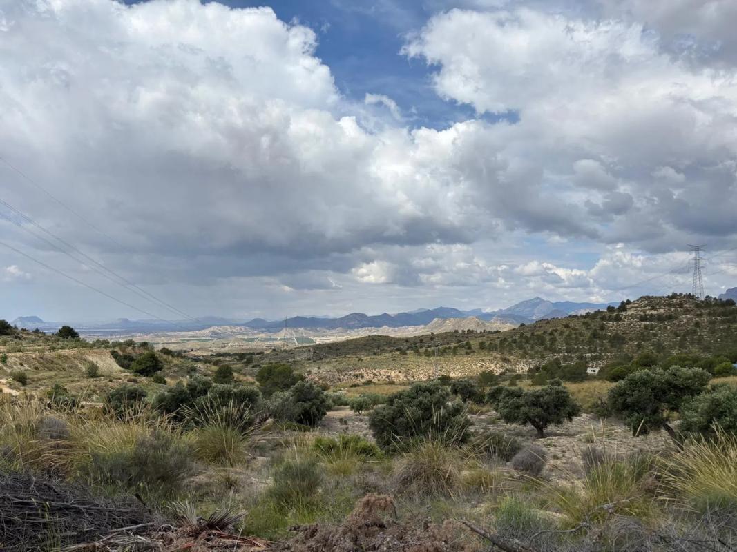 Land for sale in Busot, Alicante photo 4
