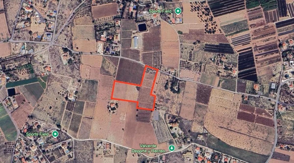 Land for sale in Elche / Elx, Alicante photo 2