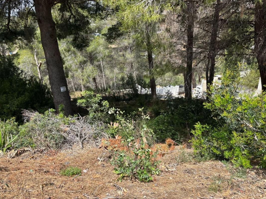 Land for sale in Altea, Alicante photo 1