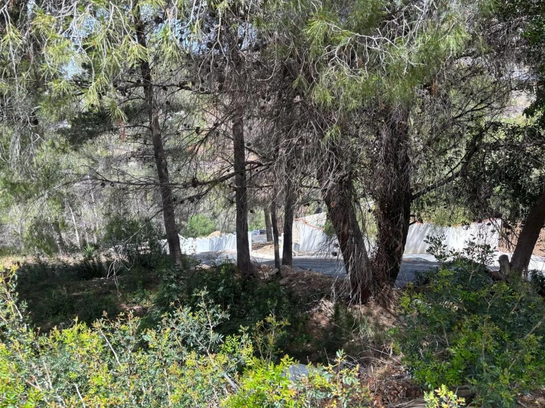 Land for sale in Altea, Alicante photo 2