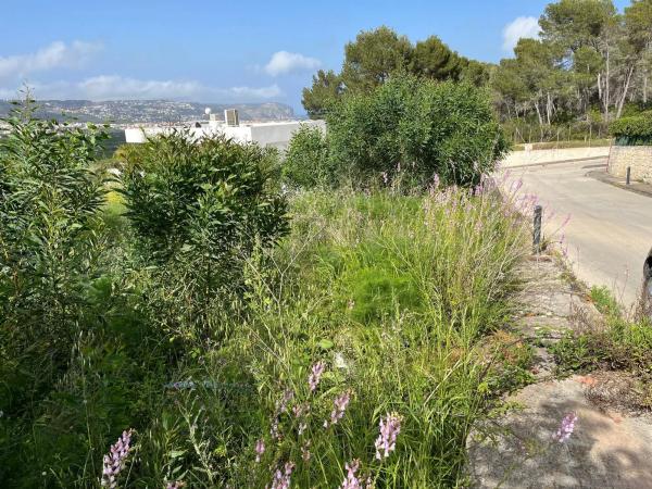 Terreno en calle Río Jalón photo 2