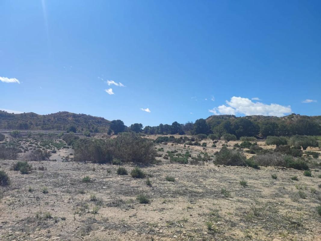 Terreno en venta en La Alcoraya, Alicante photo 2