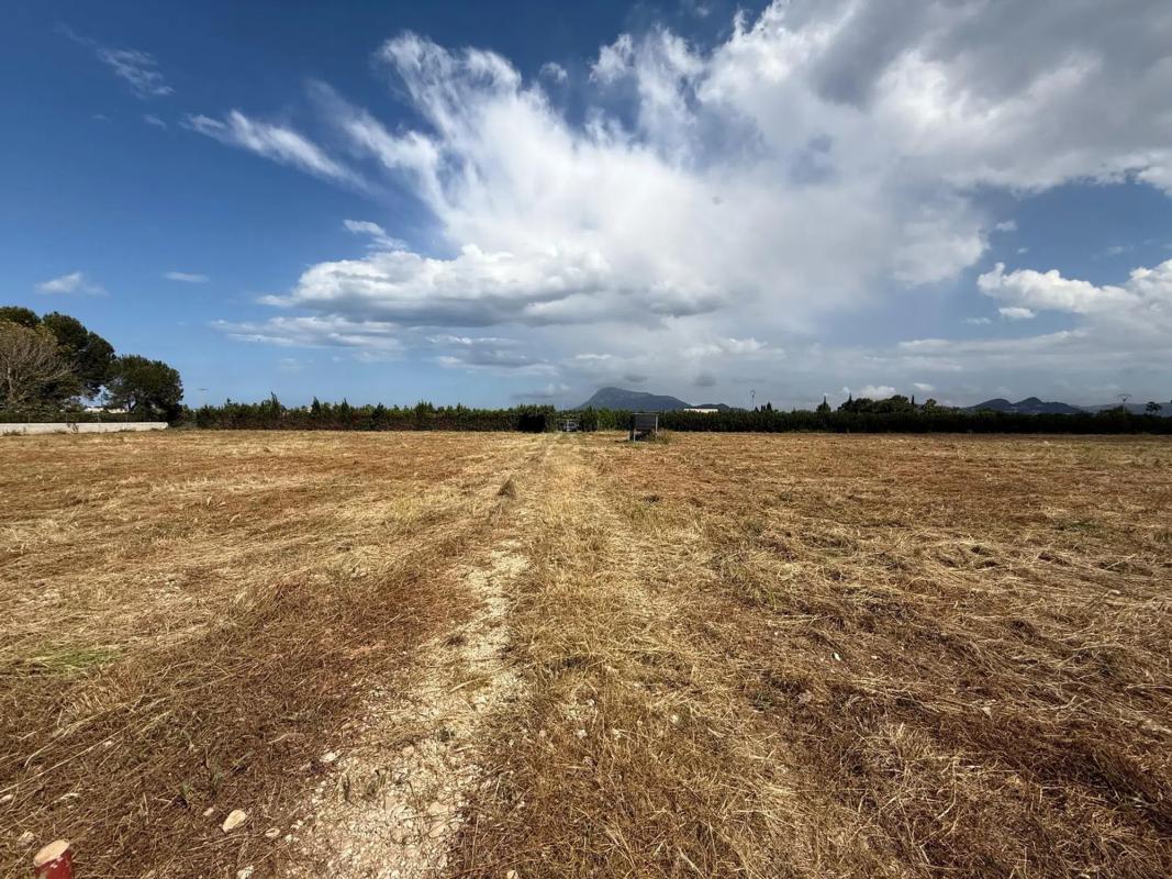 Terreno en venta en Els Poblets, Alicante photo 3