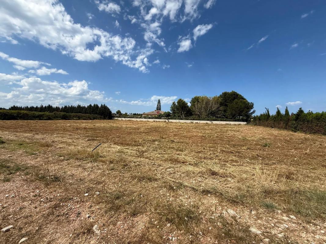 Terreno en venta en Els Poblets, Alicante photo 5
