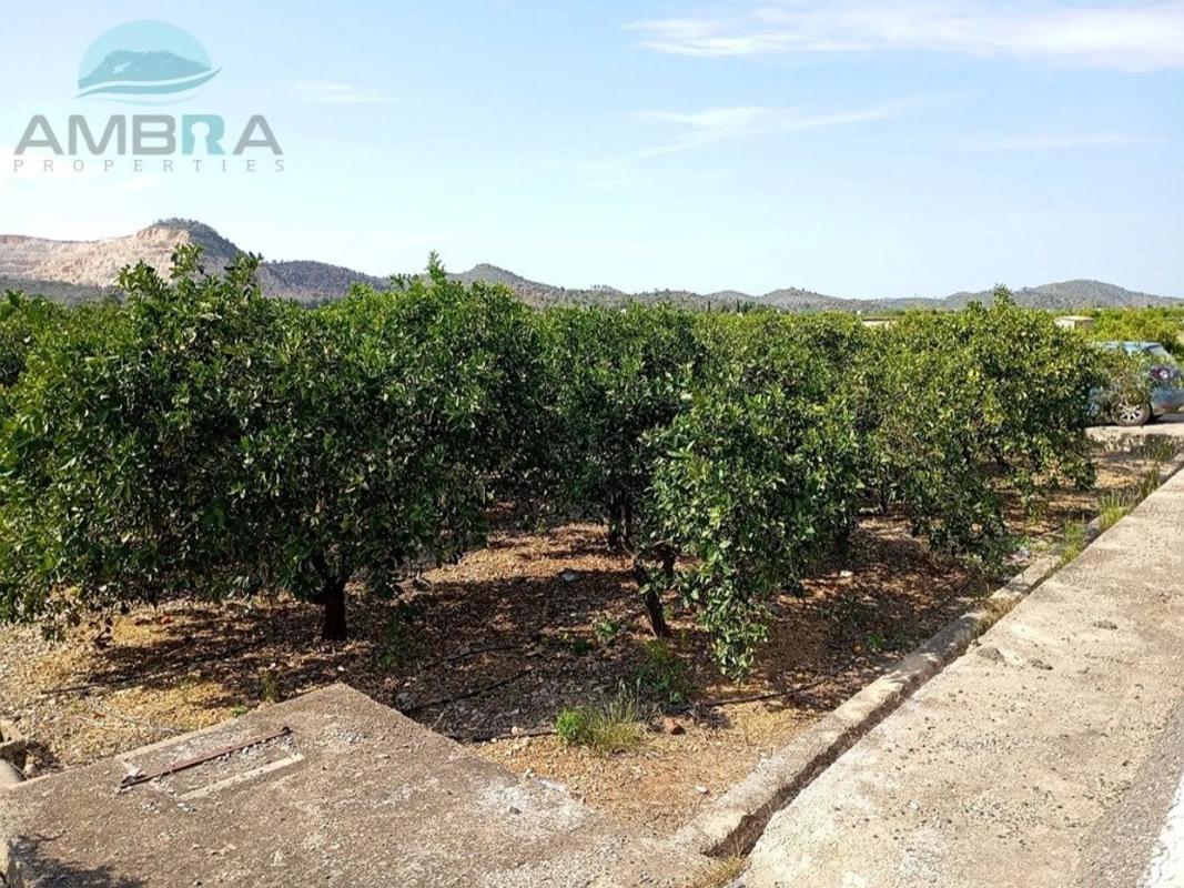 Terreno en venta en Pego, Alicante photo 2