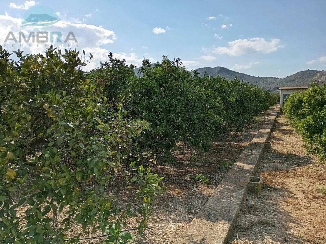Terreno en venta en Pego, Alicante photo 3