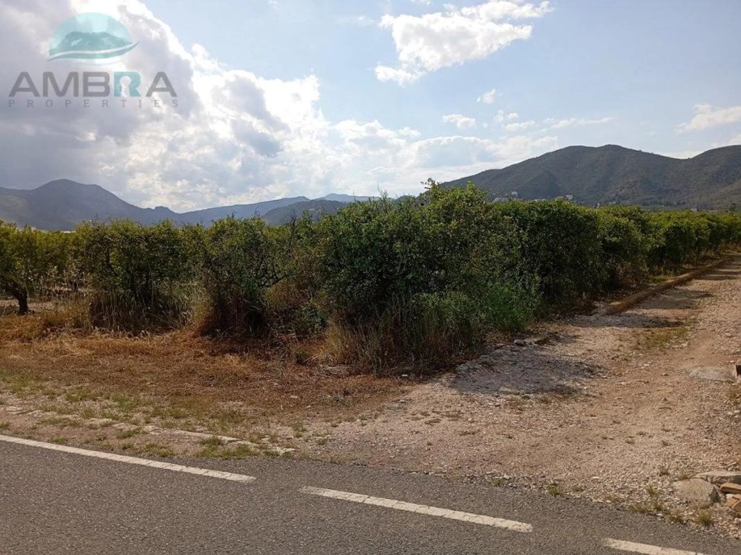 Land for sale in Pego, Alicante photo 2