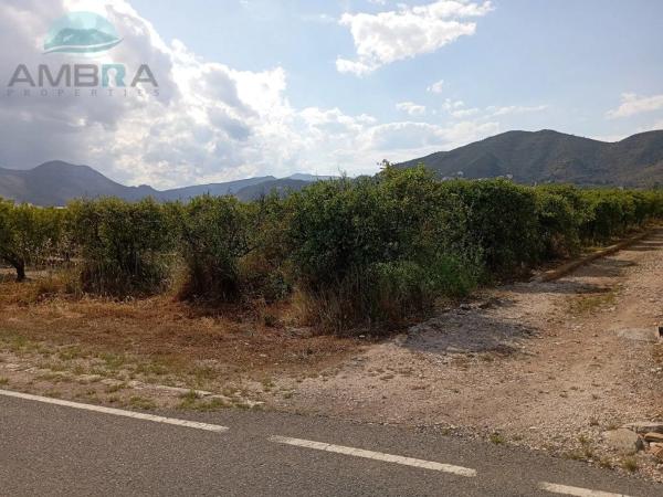 Terreno en Pego photo 2