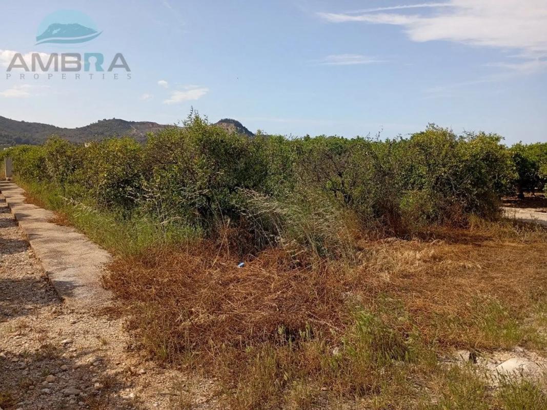 Land for sale in Pego, Alicante photo 4