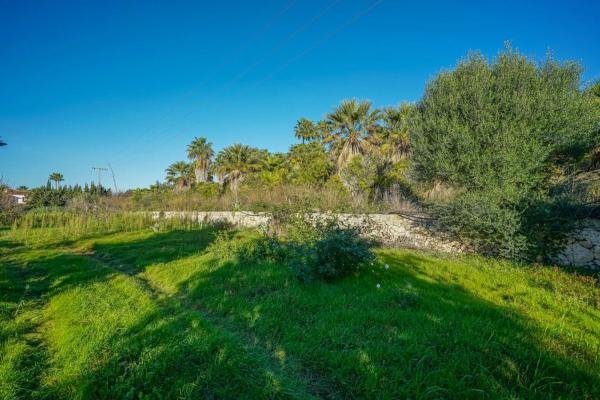 Terreno en Partida Tosal - Zona dels Castellans photo 2