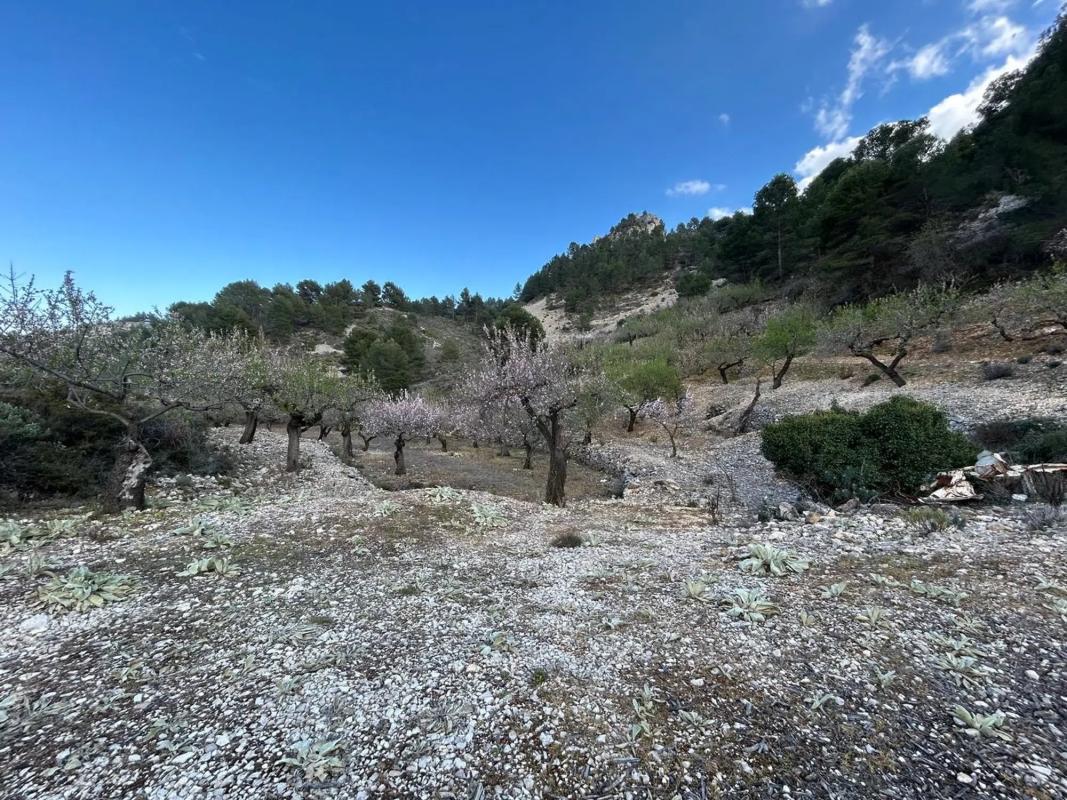 Land for sale in Confrides, Alicante photo 2
