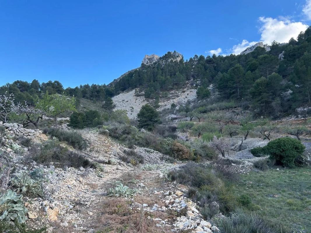 Land for sale in Confrides, Alicante photo 4