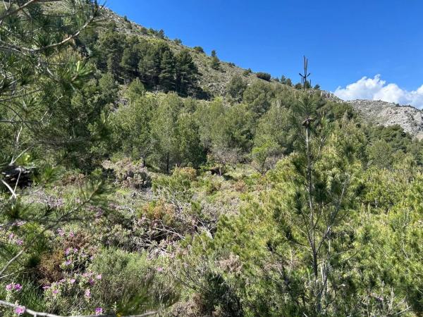Terreno en calle Alacant, 24 photo 1