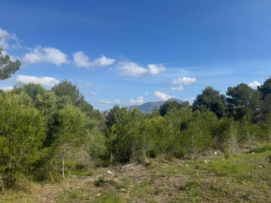 Działka na sprzedaż w Jávea/Xàbia, Alicante photo 3