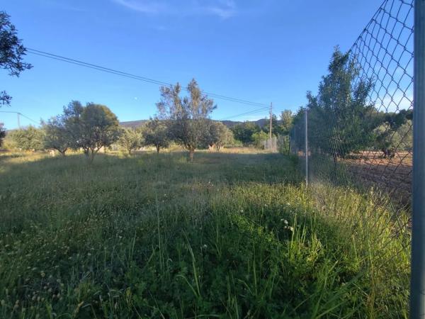Terreno en Ibi photo 2