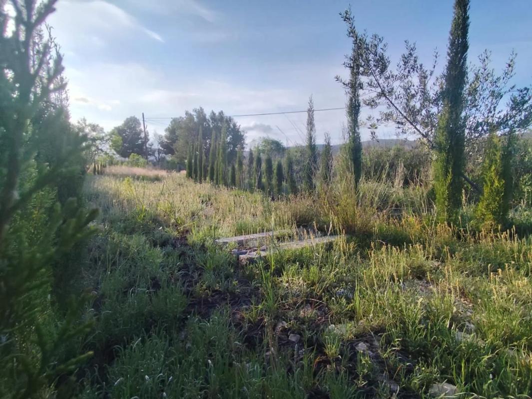 Land for sale in Ibi, Alicante photo 3