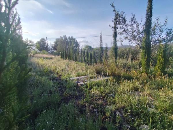 Terreno en Ibi photo 3