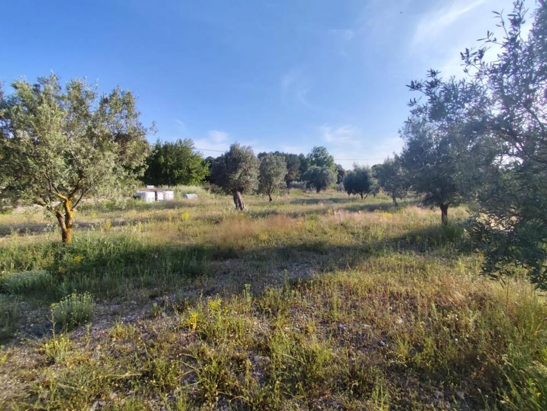 Land for sale in Ibi, Alicante photo 5