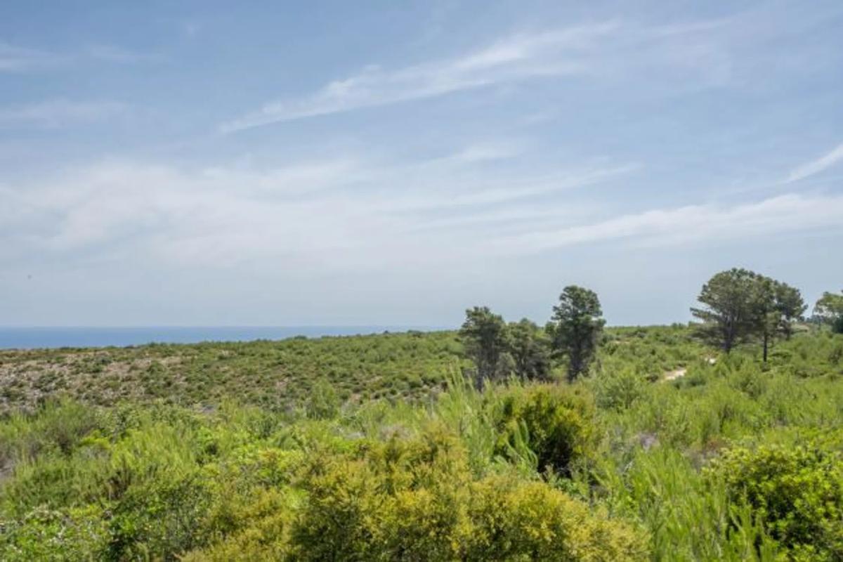 Terreno en venta en Jávea/Xàbia, Alicante photo 2