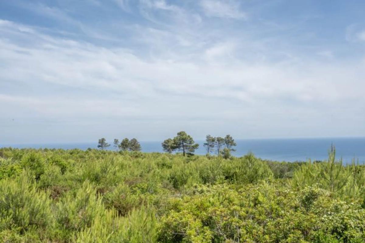 Terreno en venta en Jávea/Xàbia, Alicante photo 3