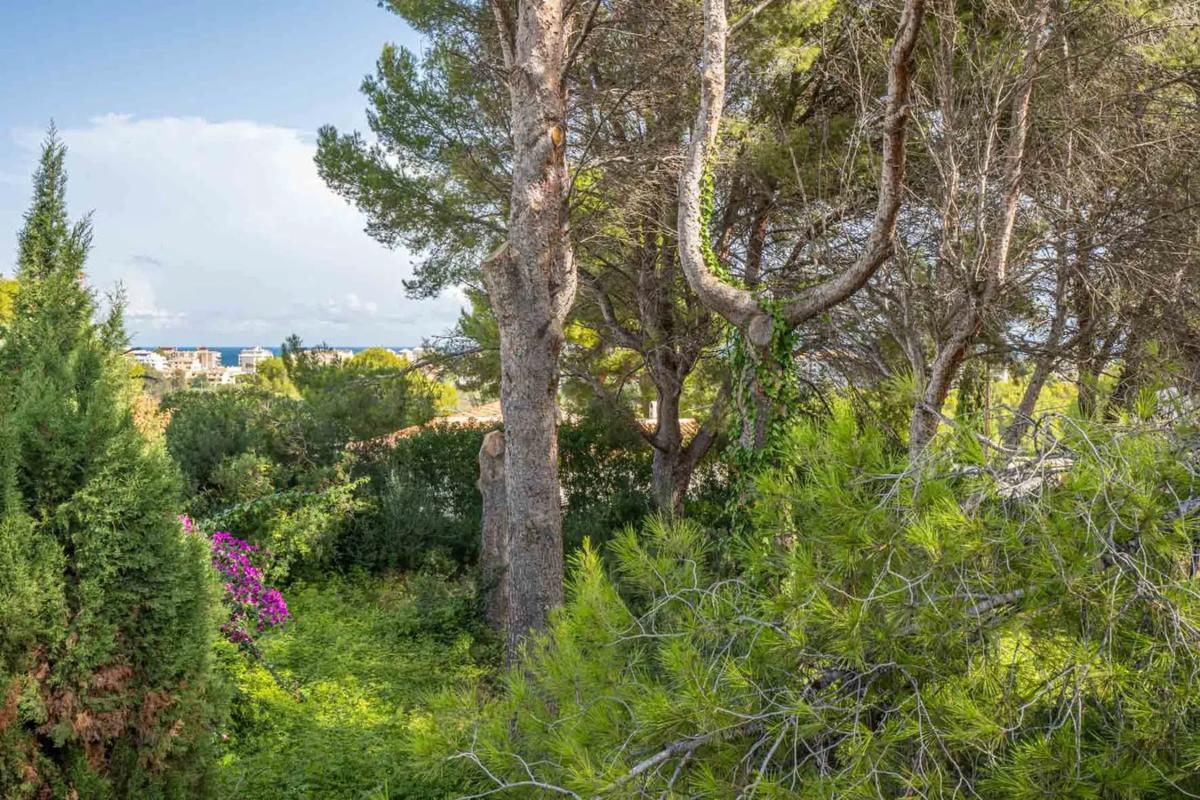 Działka na sprzedaż w Jávea/Xàbia, Alicante photo 1