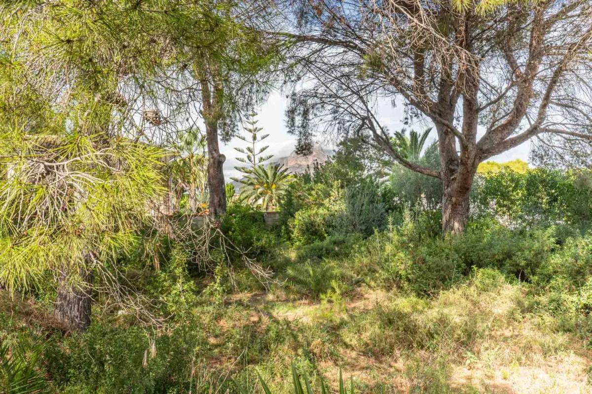 Działka na sprzedaż w Jávea/Xàbia, Alicante photo 3