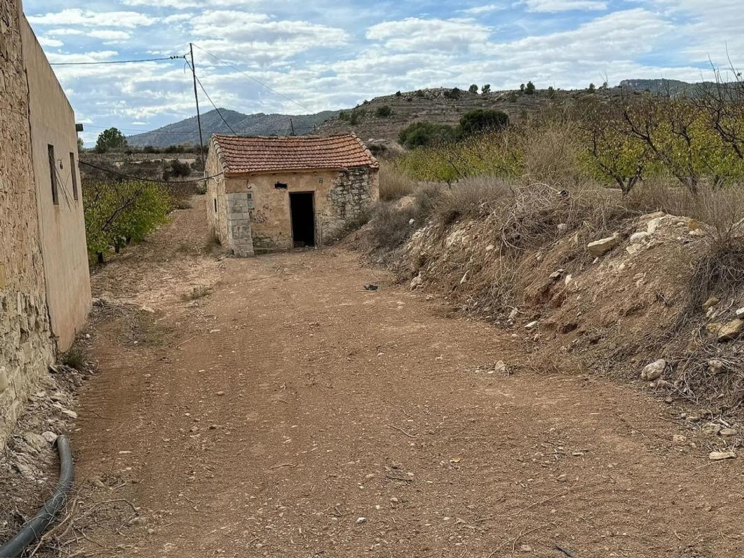 Terreno en venta en Monovar, Alicante photo 2