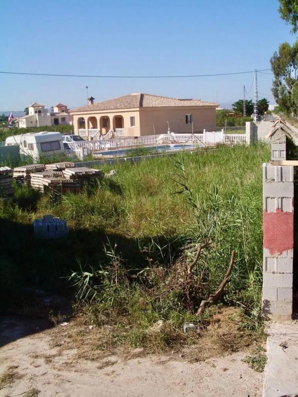 Land for sale in Catral, Alicante photo 4