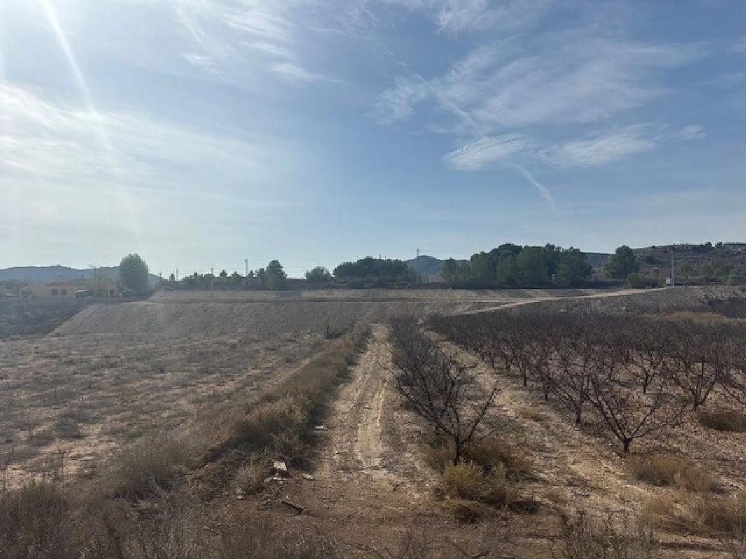 Terreno en venta en Monovar, Alicante photo 4
