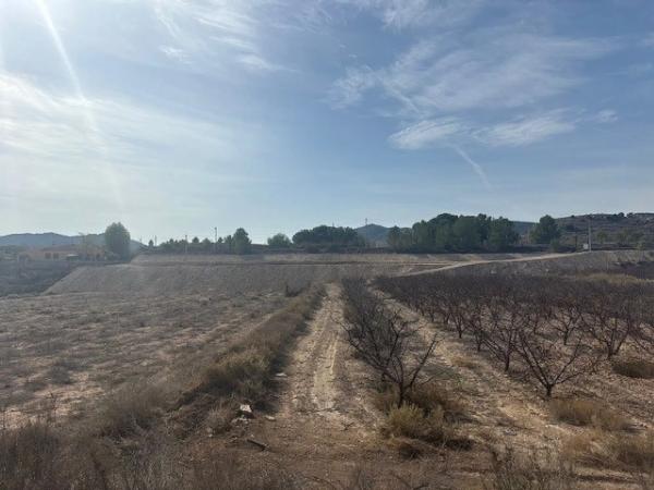 Terreno en Monovar photo 4