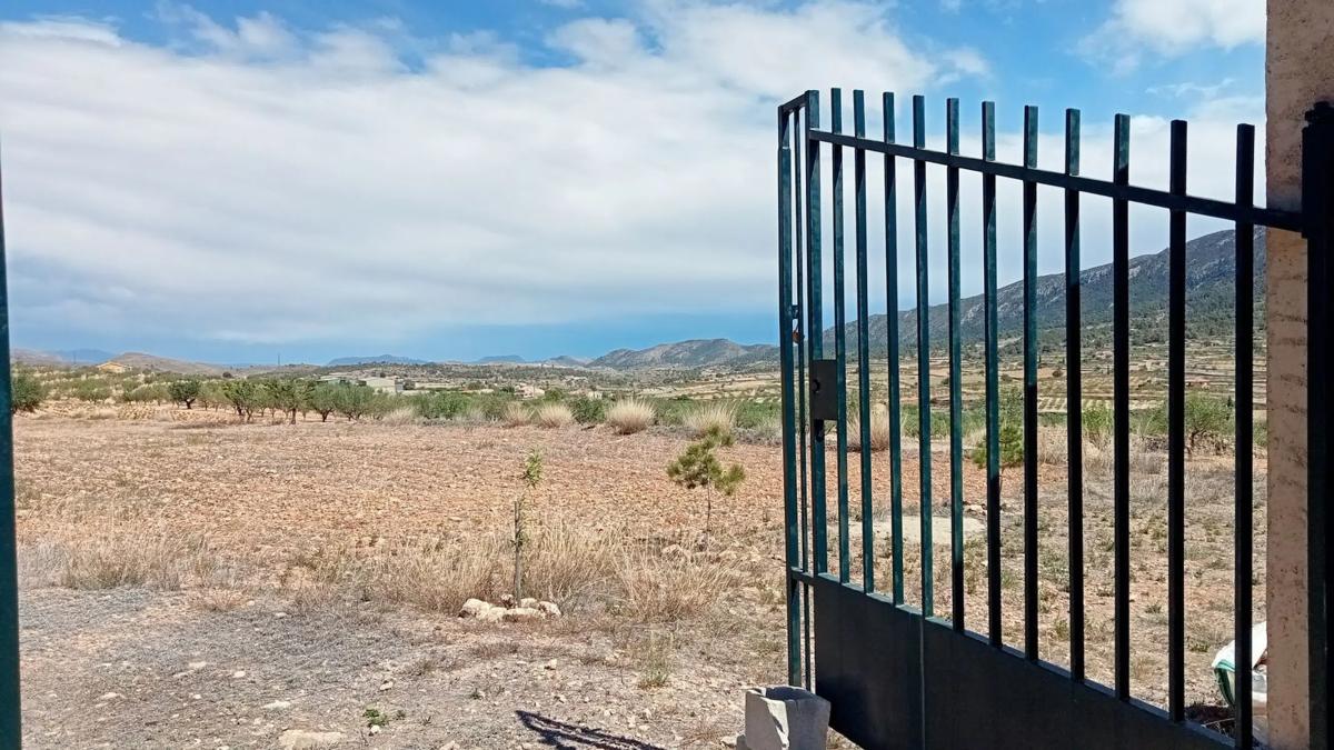 Terreno en venta en La Romana, Alicante photo 1