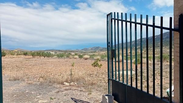 Terreno en algayat, 24 poligono photo 1
