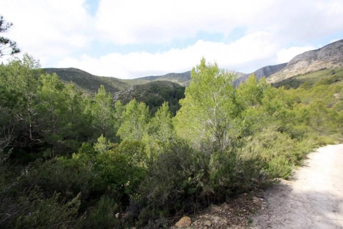Terreno en venta en Pedreguer, Alicante photo 2