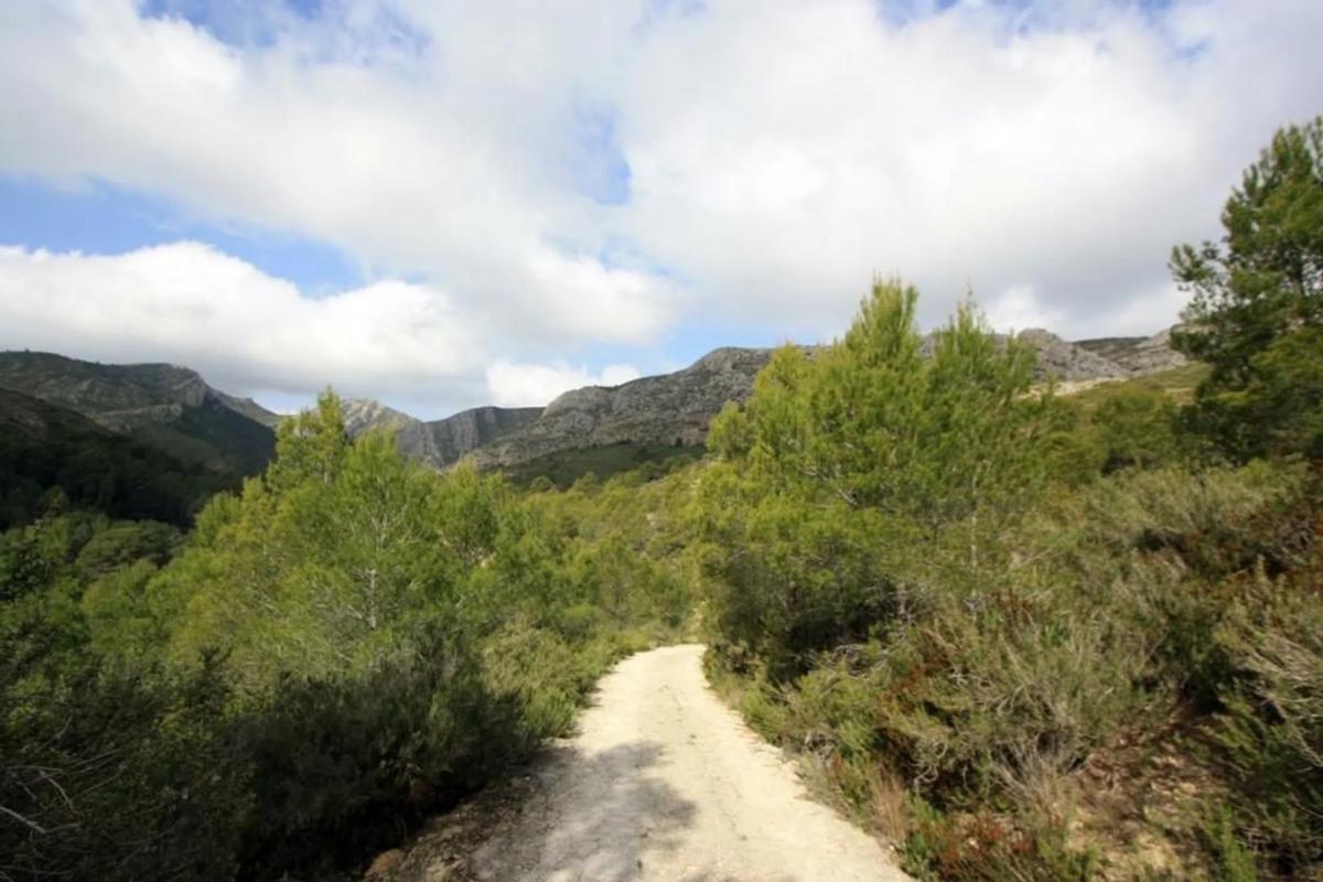 Terreno en venta en Pedreguer, Alicante photo 3