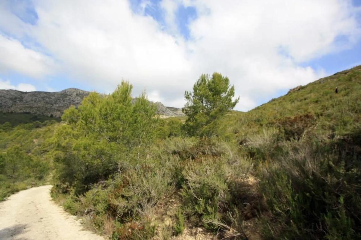 Terreno en venta en Pedreguer, Alicante photo 4