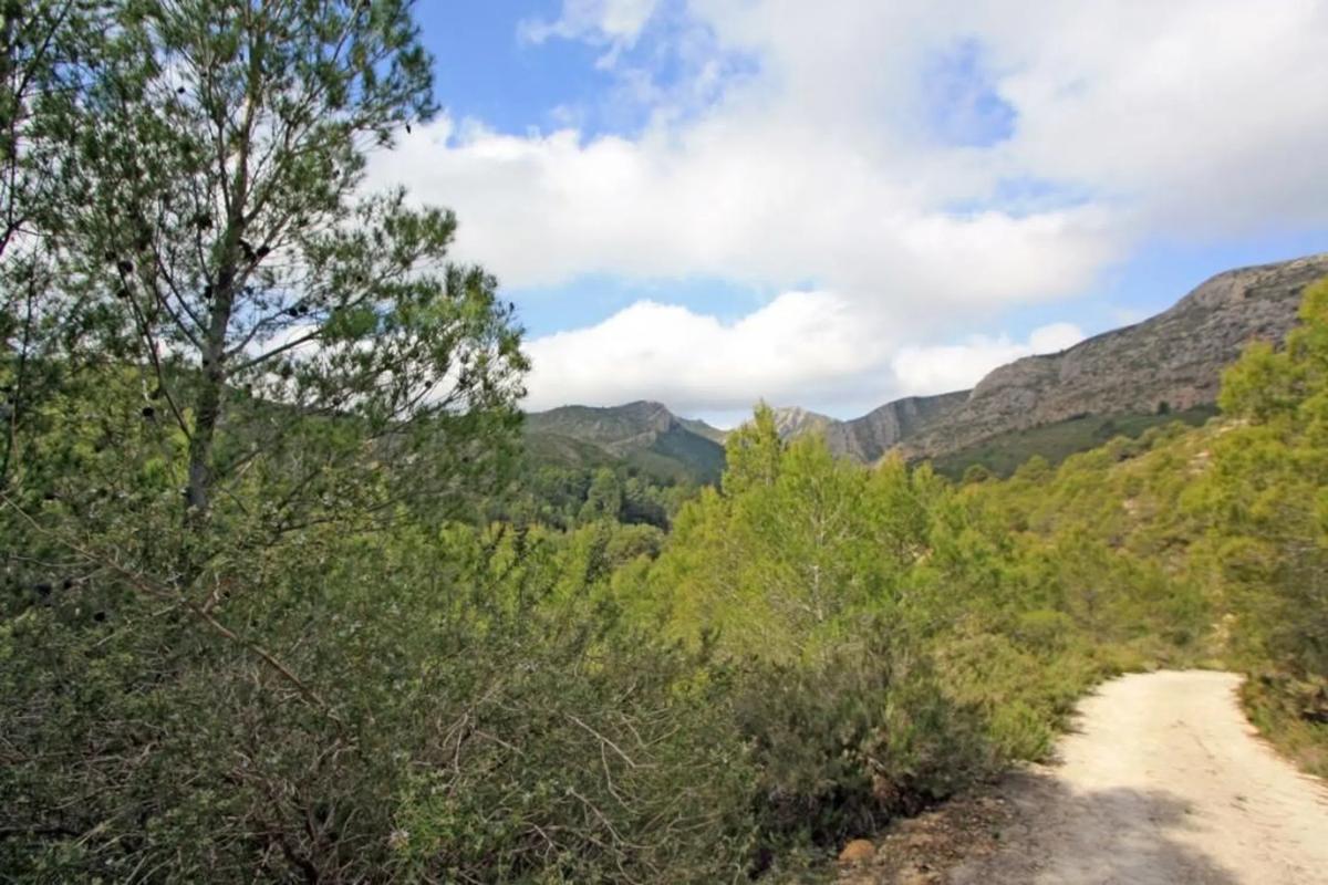 Terreno en venta en Pedreguer, Alicante photo 5