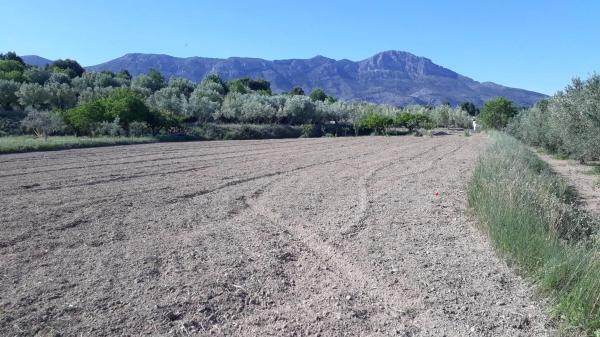 Terreno en Diseminado Diseminados, km 2 photo 1