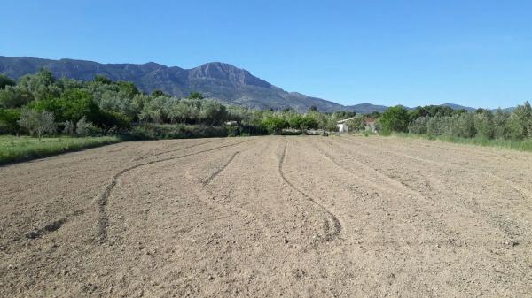 Terreno en Diseminado Diseminados, km 2 thumbnail 1