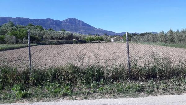 Terreno en Diseminado Diseminados, km 2 thumbnail 2