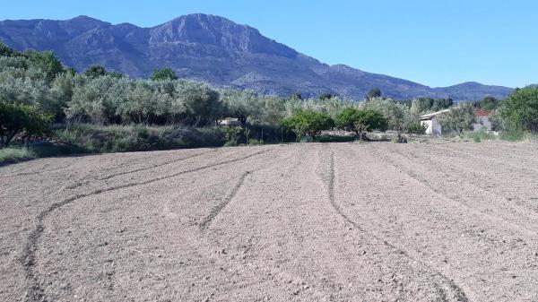 Terreno en Diseminado Diseminados, km 2 photo 4