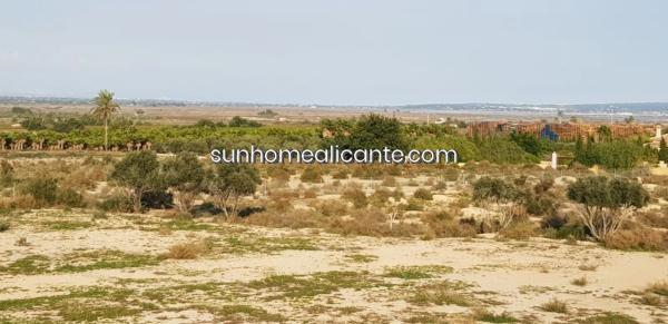 Terreno en La Marina photo 1