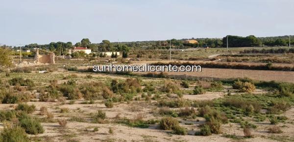Terreno en La Marina photo 2