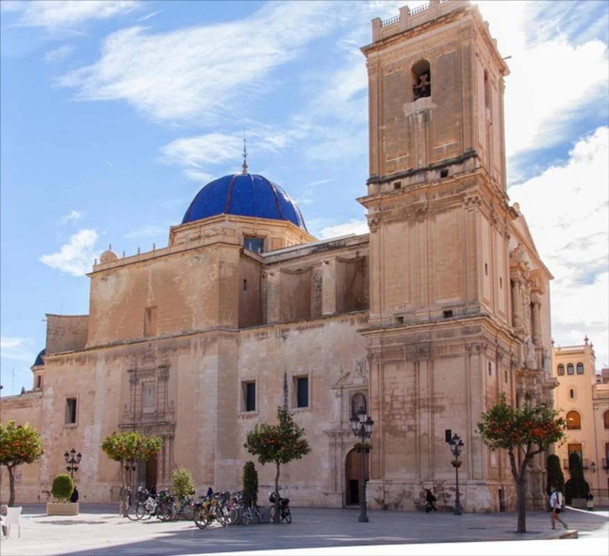 Land for sale in Elche / Elx, Alicante photo 2