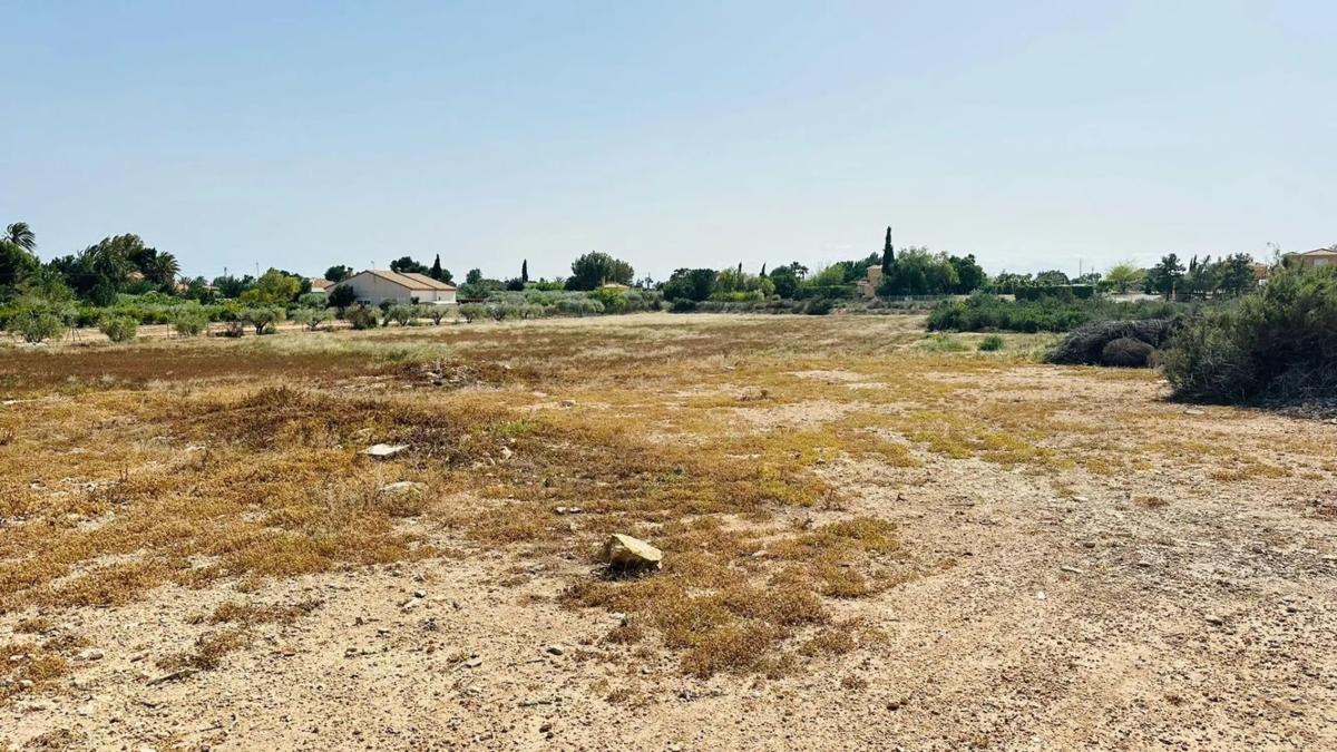Terreno en venta en Elche / Elx, Alicante photo 2