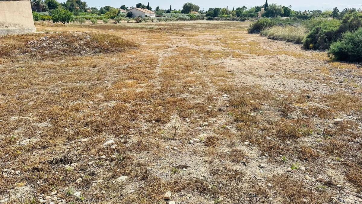 Terreno en venta en Elche / Elx, Alicante photo 3