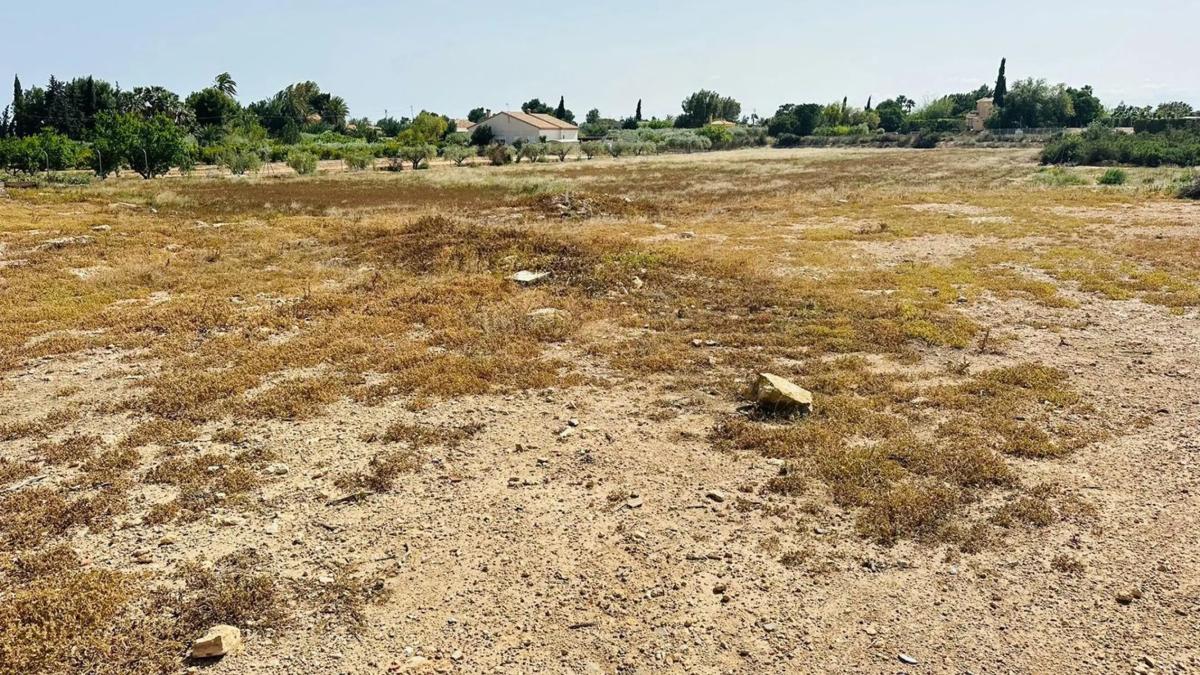 Terreno en venta en Elche / Elx, Alicante photo 4