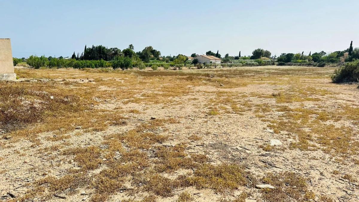 Terreno en venta en Elche / Elx, Alicante photo 5
