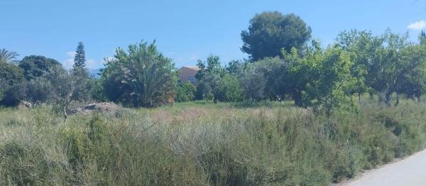 Terreno en Centro photo 3