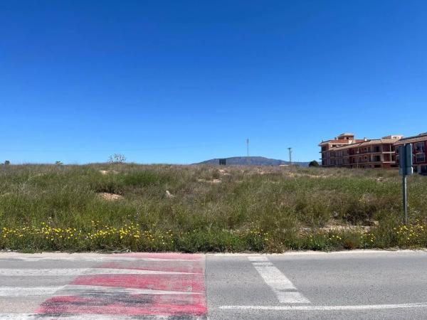 Terreno en carretera Jumilla, 91 thumbnail 2